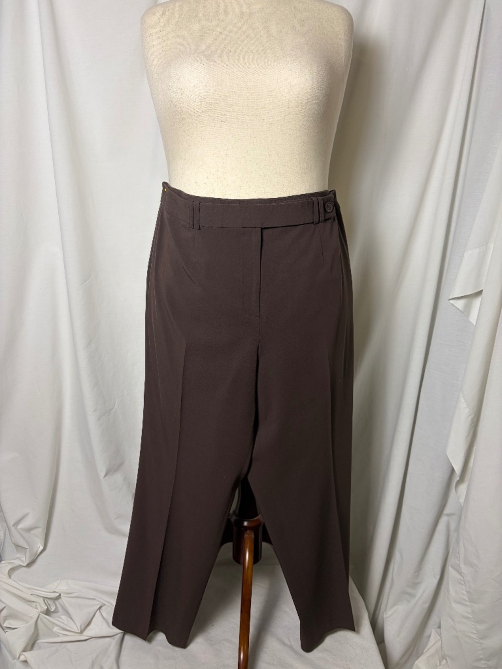 Style & Co Woman Chocolate Brown Plus Size Dress Pants 18W